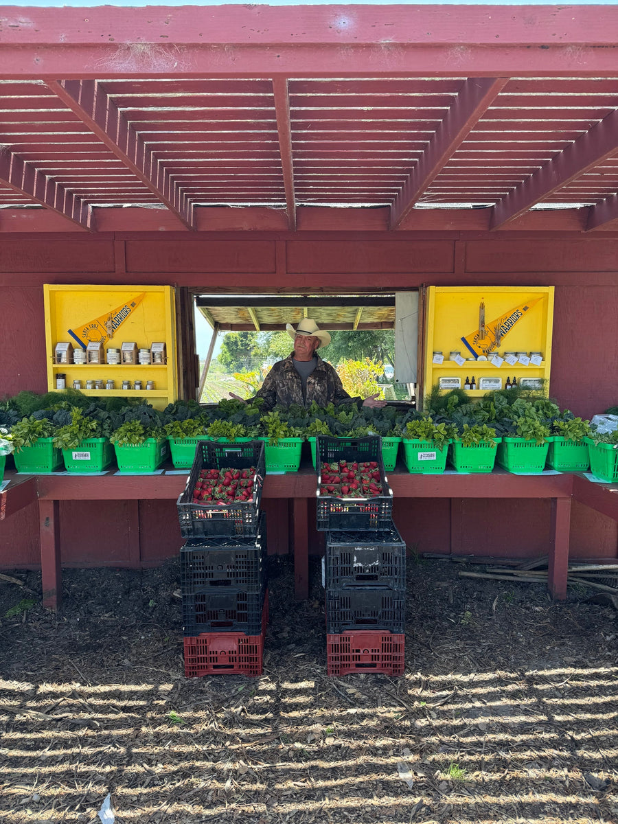 Homeless Garden Project photo