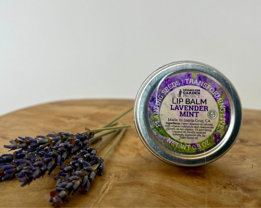 Lavender Mint Lip Balm
