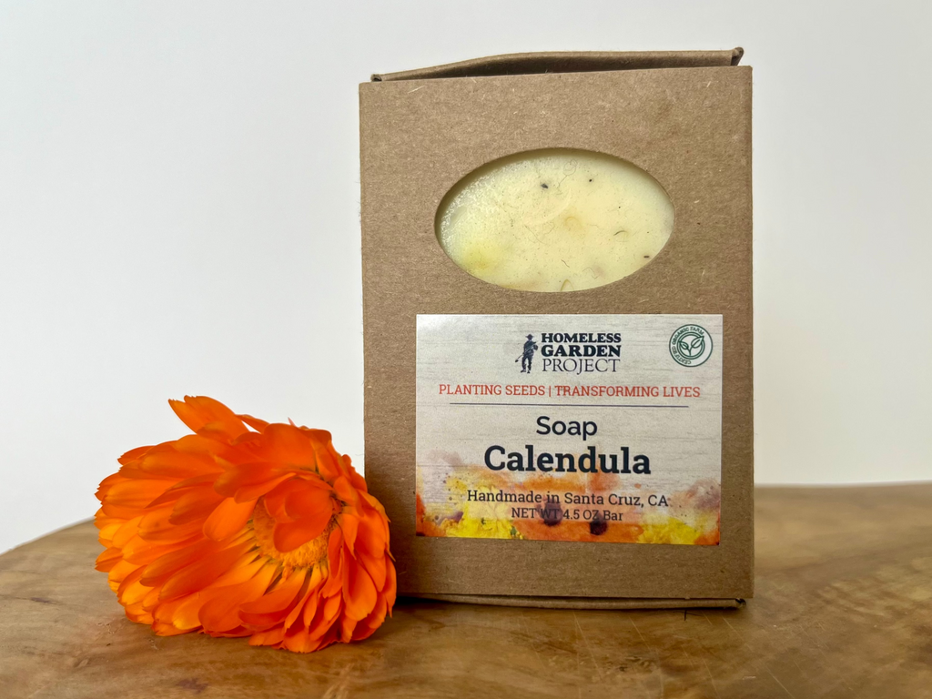 Calendula Soap