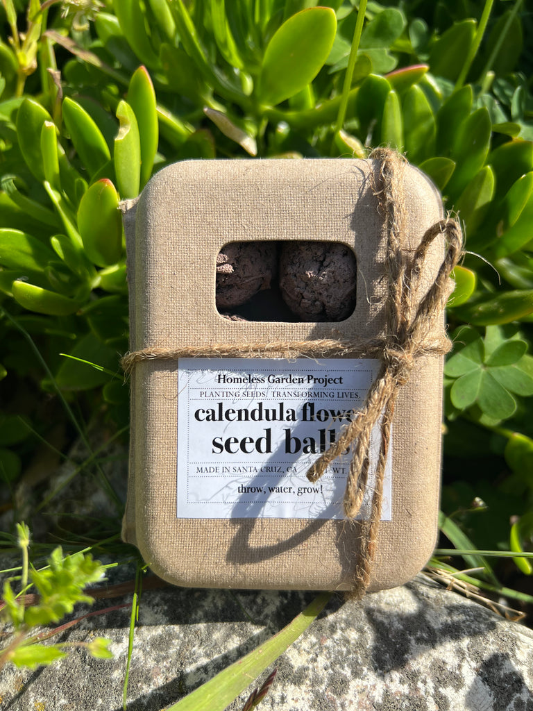 Shop Calendula Flower Seed Balls