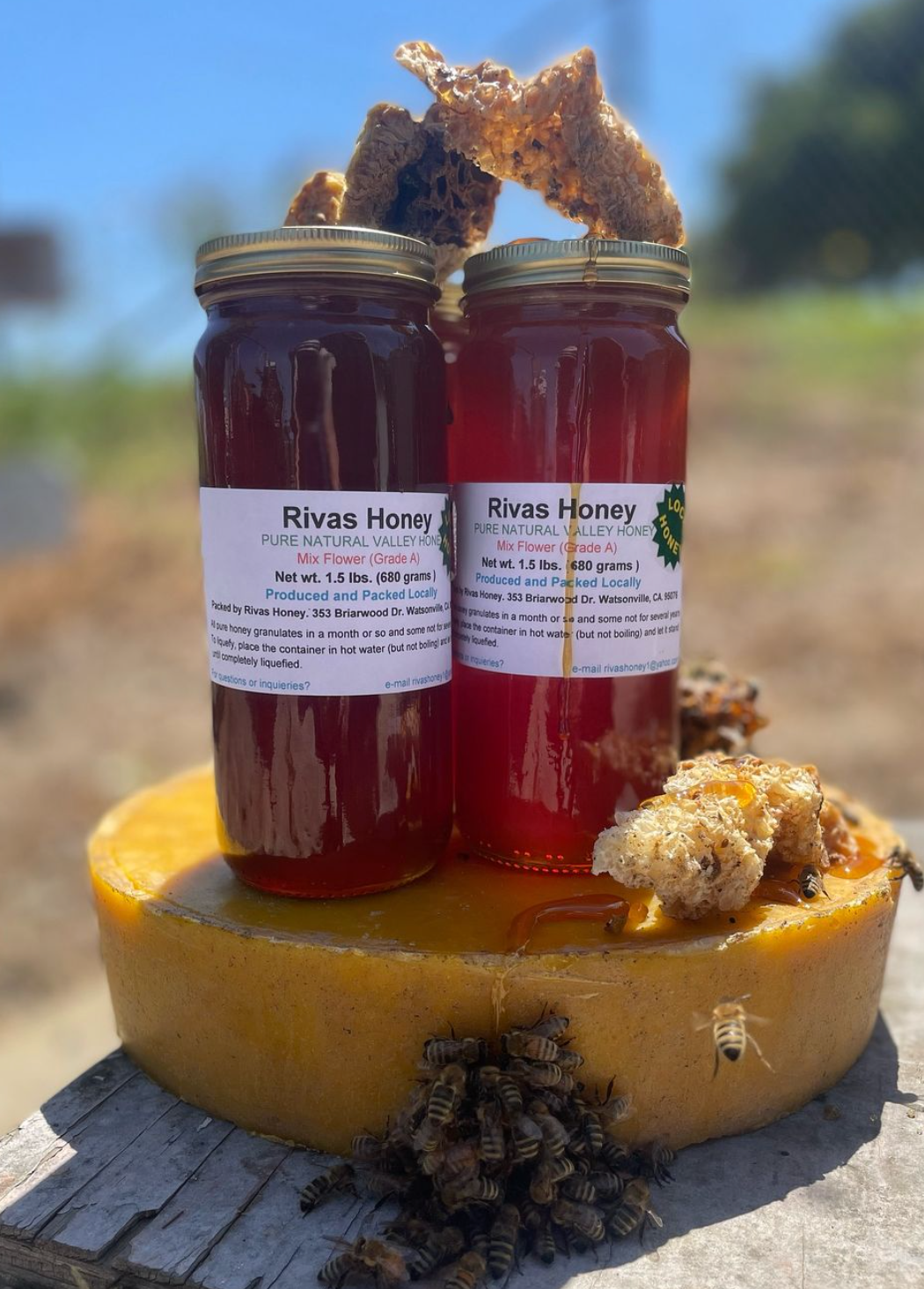 Shop Rivas Bees Honey - 1.5 pounds | Homeless Garden Project Store 8