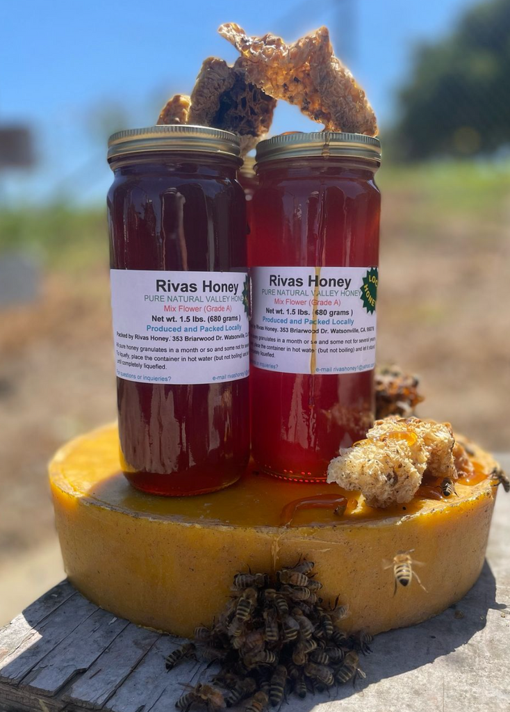 Rivas Bees Honey - 1.5 pounds