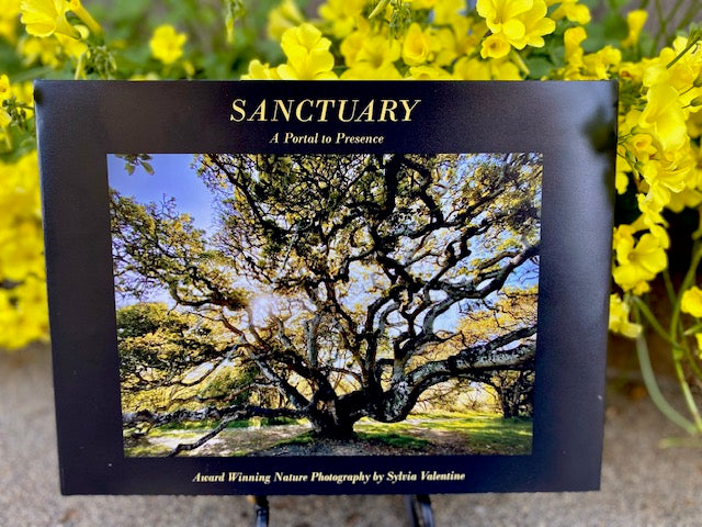 Photo Book - Sanctuary: A Portal to Presence - Sylvia Valentine