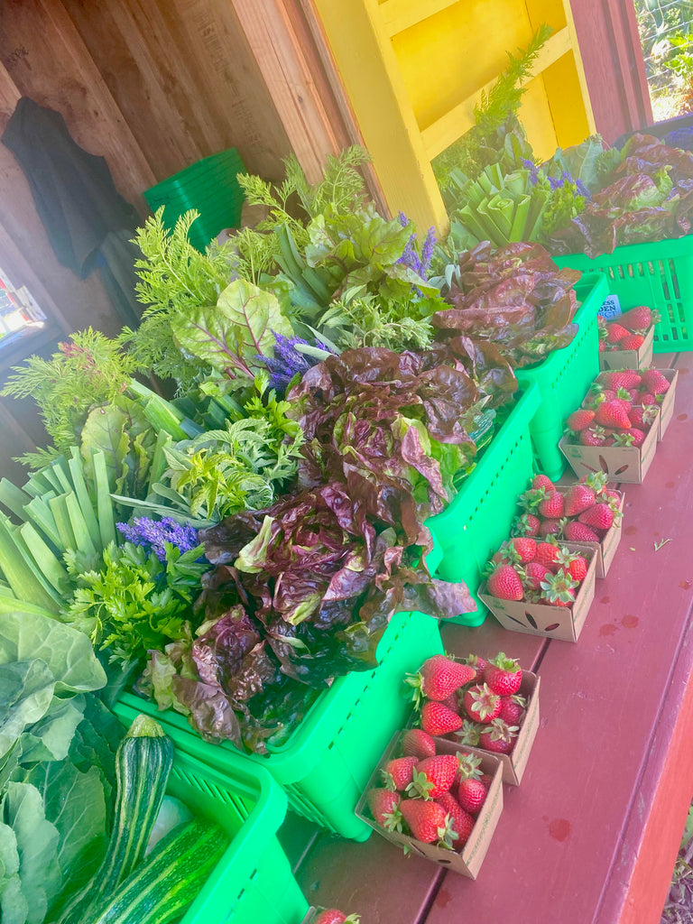 2026 CSA Share: Pick-Up