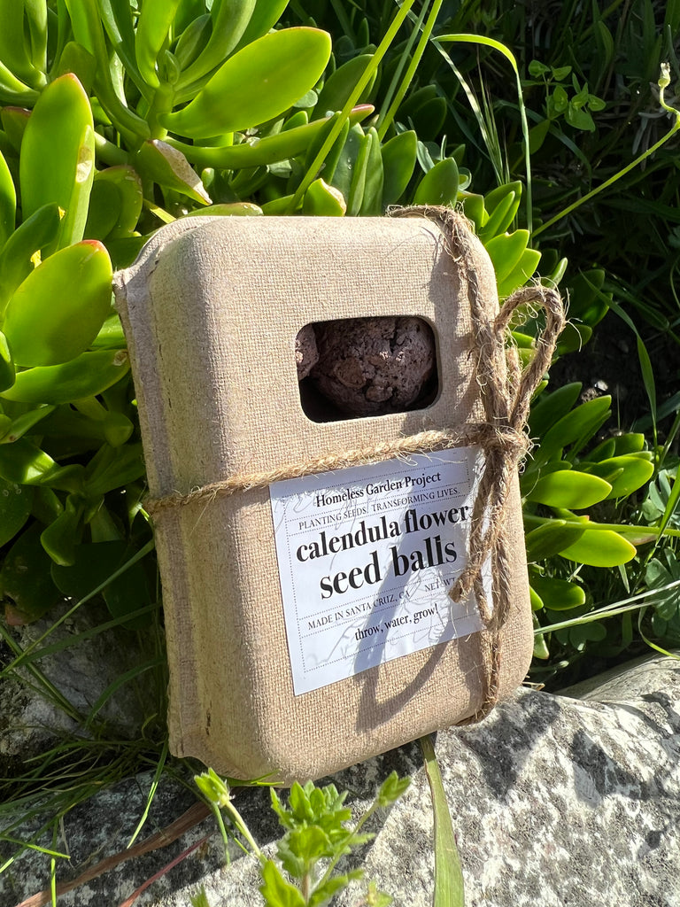 Calendula Flower Seed Balls