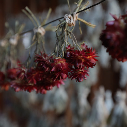 Collection page banner